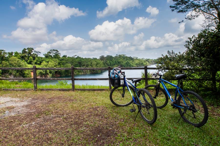 Bicycle rental siem reap