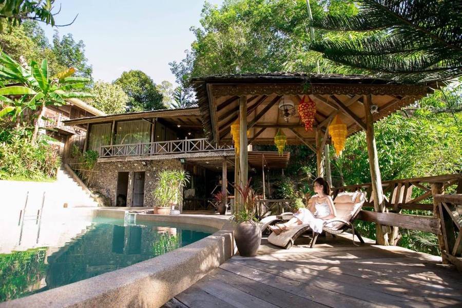 Fig Tree Hills Resort - Hot Spring Hotel