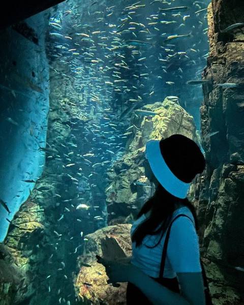 Osaka Aquarium Kaiyukan - Things to do in Osaka