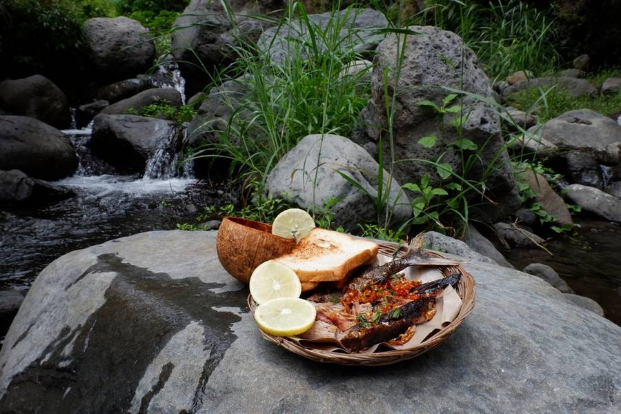 Cá nướng sông Đà