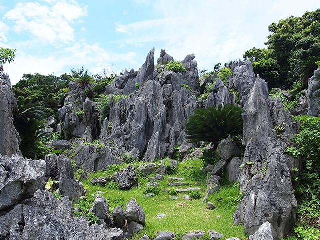Taman Nasional Yambaru