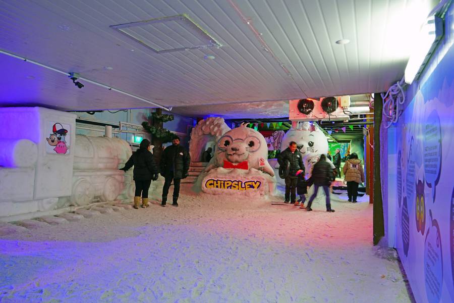 Snow City - Indoor Playground Activities for Kids