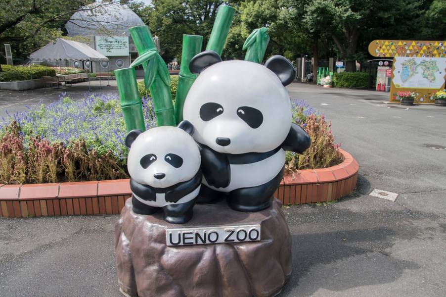 Ueno Zoo - Things to do in Tokyo