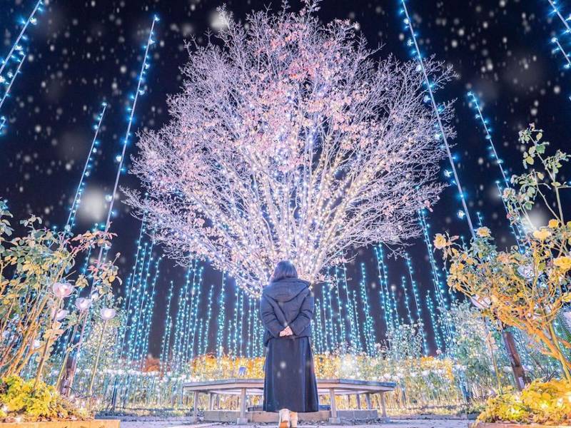 Công viên hoa Ashikaga Flower Park