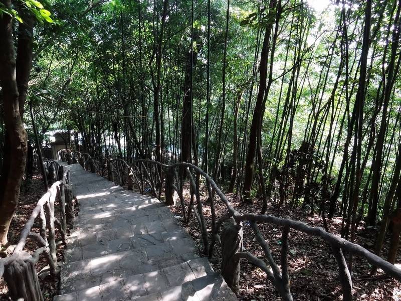 Đường mòn xuyên rừng ở Tam Đảo