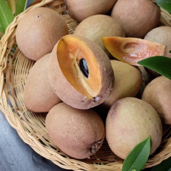vườn trái cây Chợ Lách