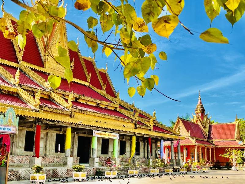 Chánh điện mới đang xây dựng
