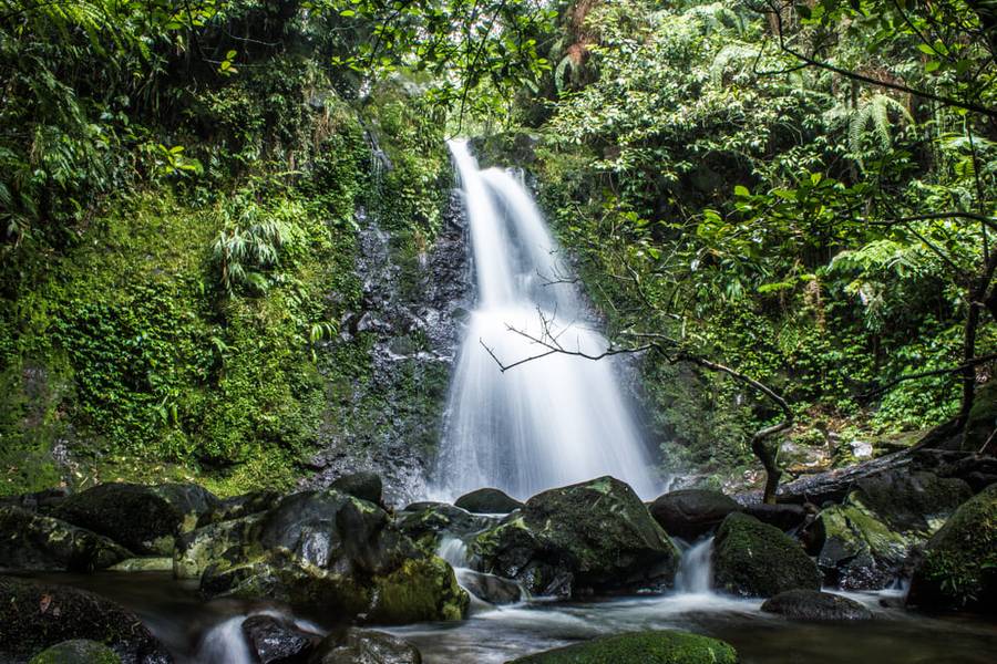 Curug di Bogor yang bagus