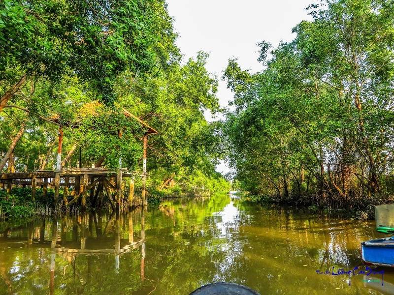 Cồn Ấu đẹp bình dị