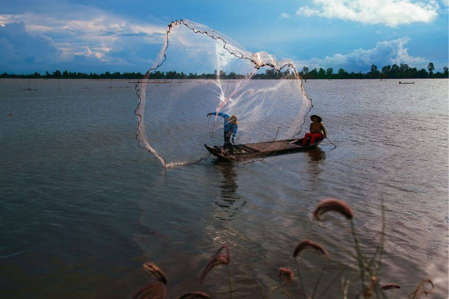 bắt cá ở Cần Thơ
