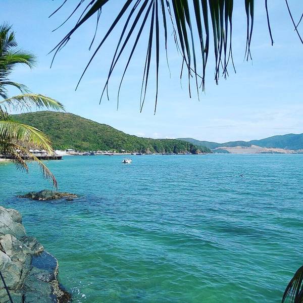 Hòn Miễu