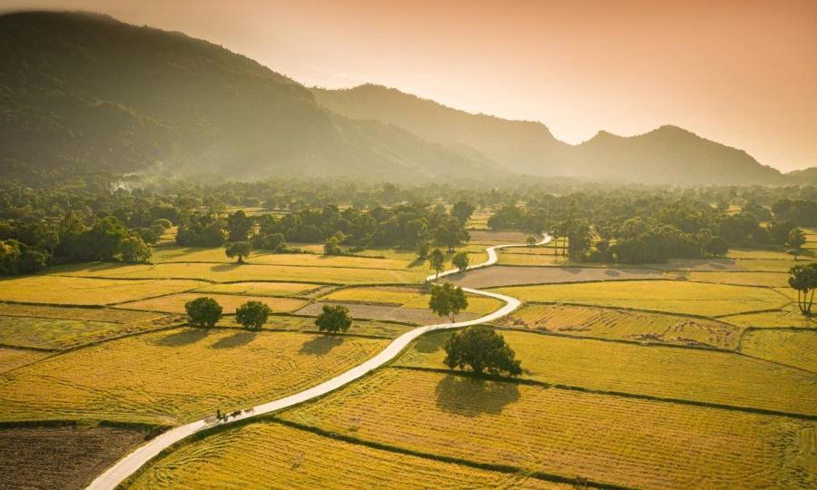 An Giang mùa lúa chín