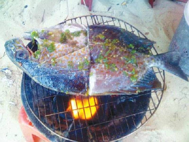 Cá tà ma nướng than hồng