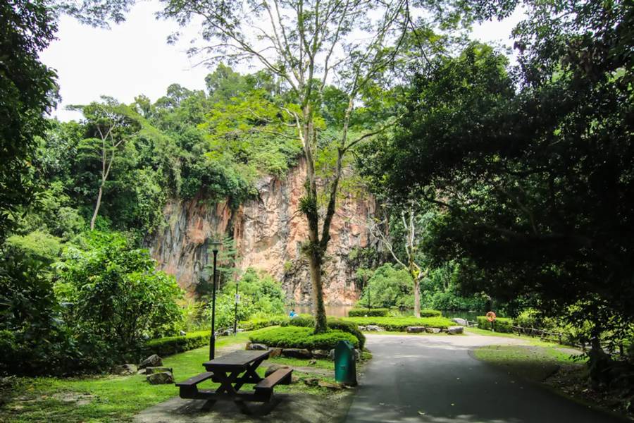Bukit Batok Nature Park