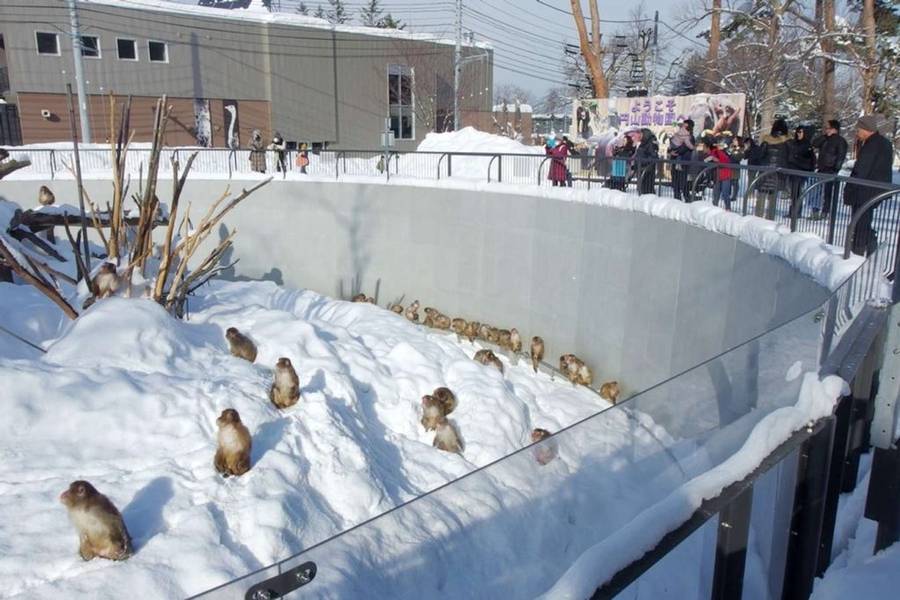 Sapporo Maruyama Zoo