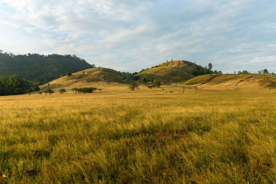 Phu Khao Ya