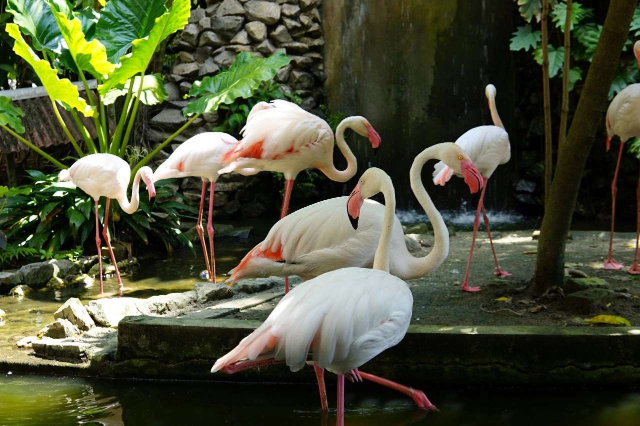 10 Best Family-Friendly Activities in Penang, Malaysia, 3 min read
