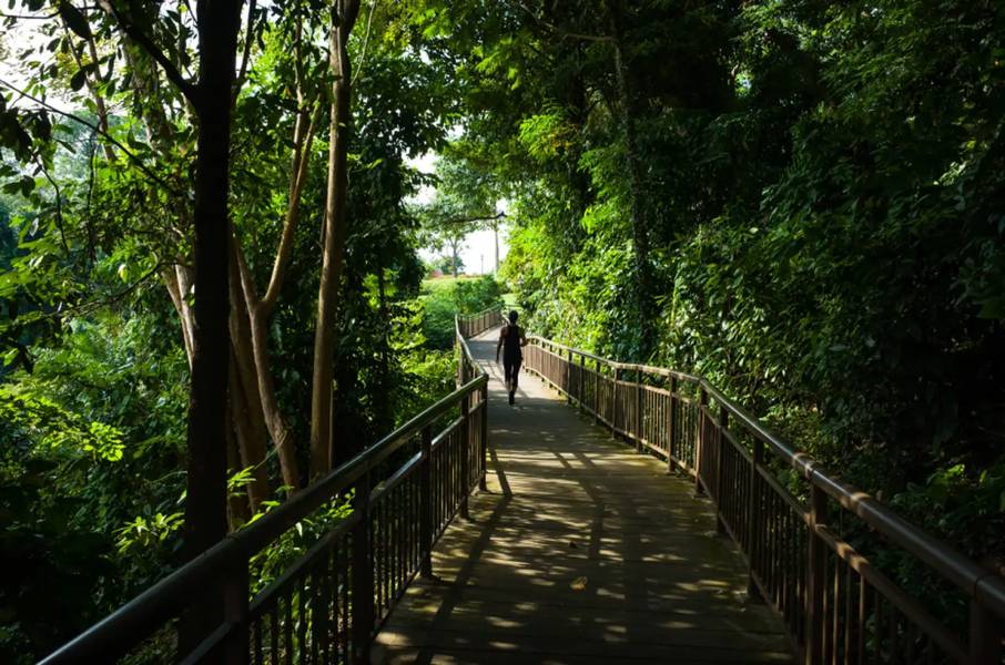 Mount Faber