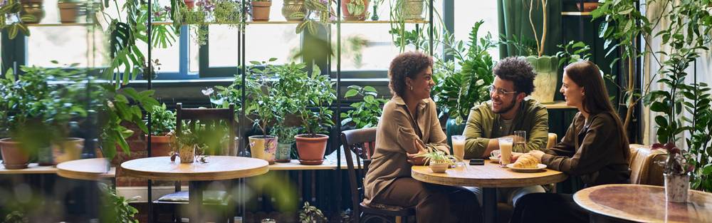 Themed Cafes in Osaka