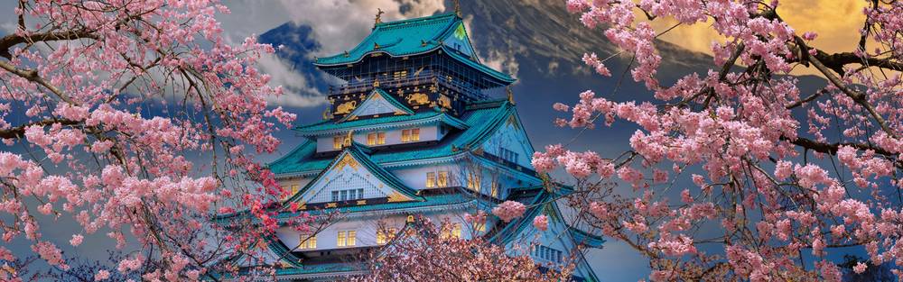 best hotels with a view in osaka