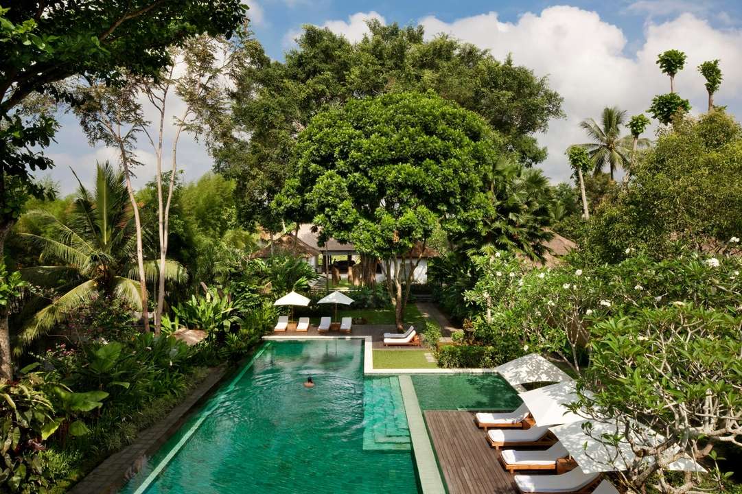 Where to Stay in Ubud, Bali: Match Your Travel Style to the Right Area, Traveloka Team