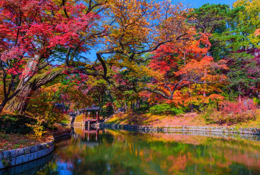 Changdeokgung Palace