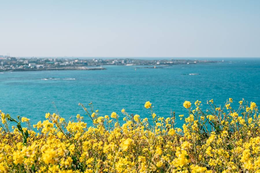 Jeju Island