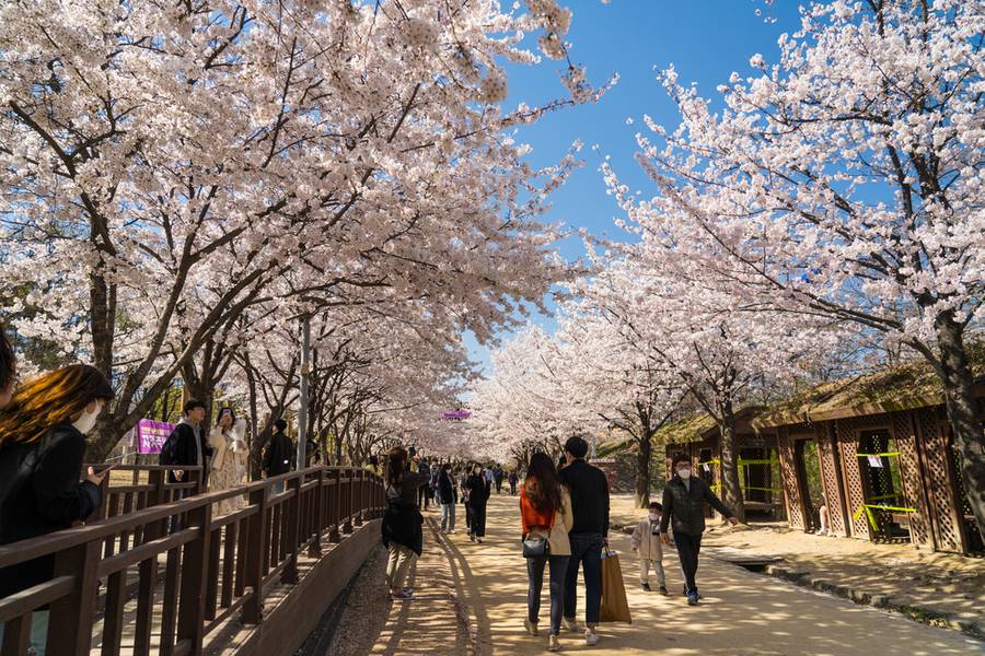 Seoul Forest
