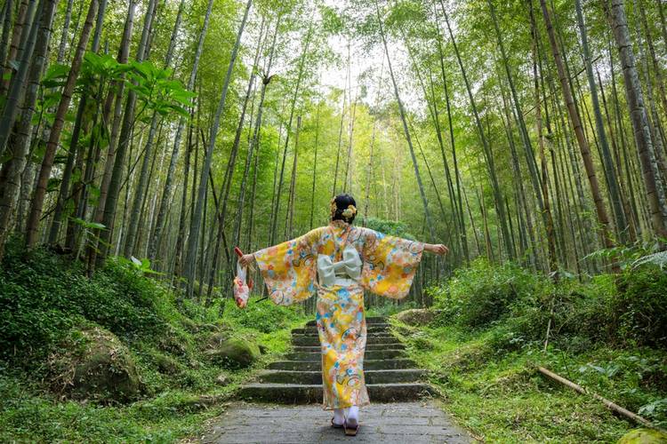Unique Hotels in Japan