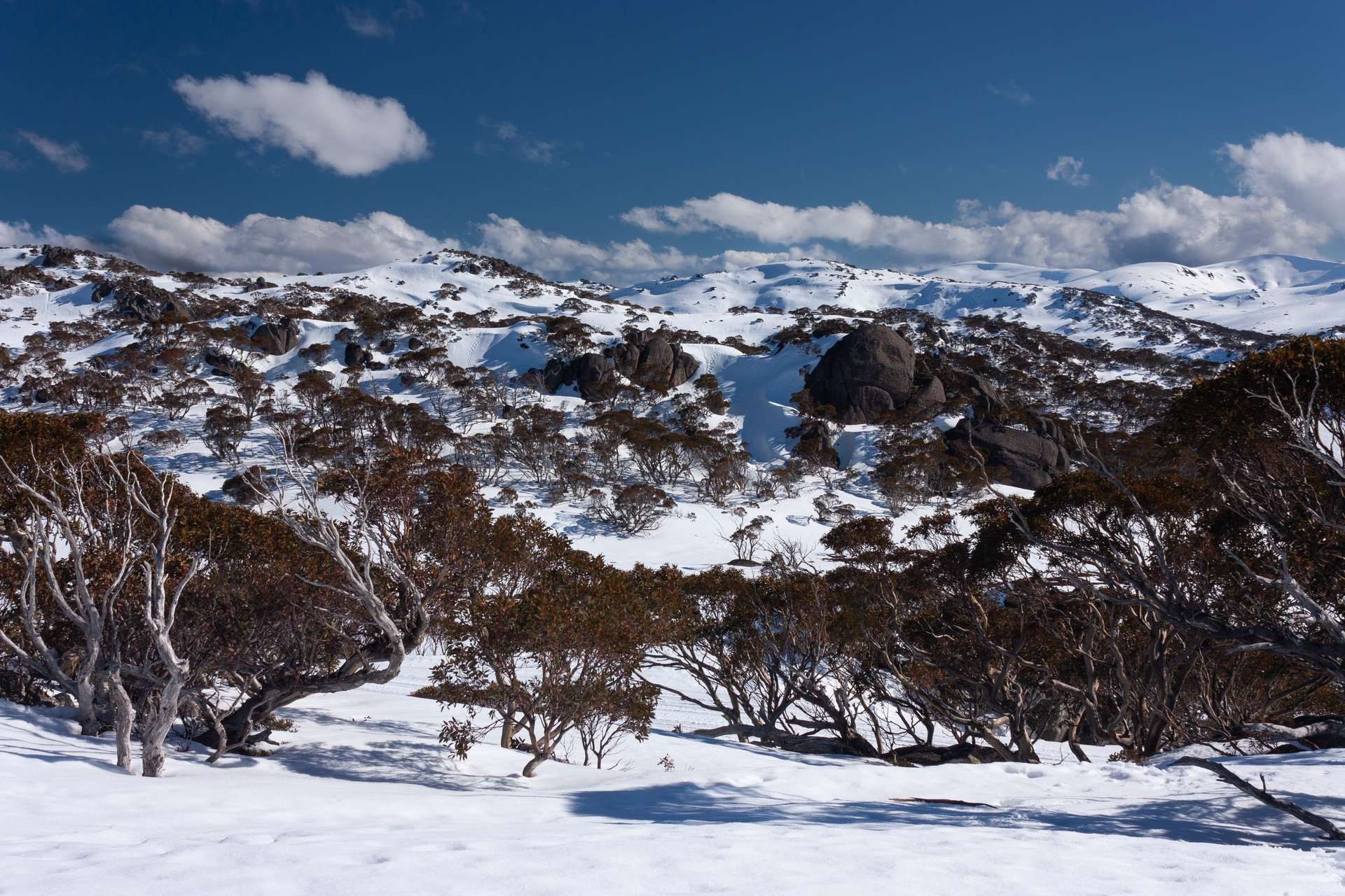 10 Best Winter Activities in Australia This Season, 3 min read