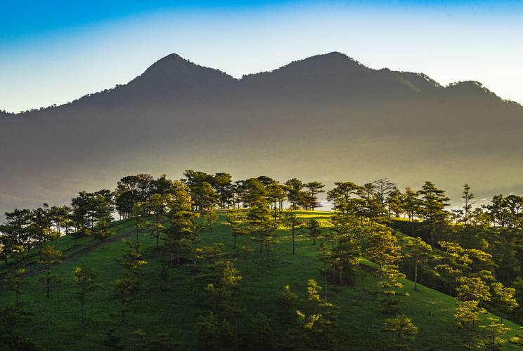 what to buy in da lat