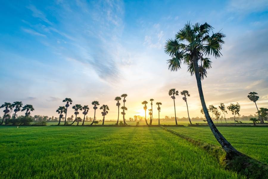 Khung cảnh hữu tình ở An Giang