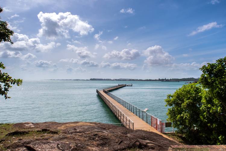 Chek Jawa Broadwalk Jetty, wooden platform in mangrove forest wetlands overlooking sea on Pulau Ubin Island, Singapore.
