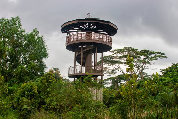 The watch tower "Raptor Tower" in Kranji Marshes.