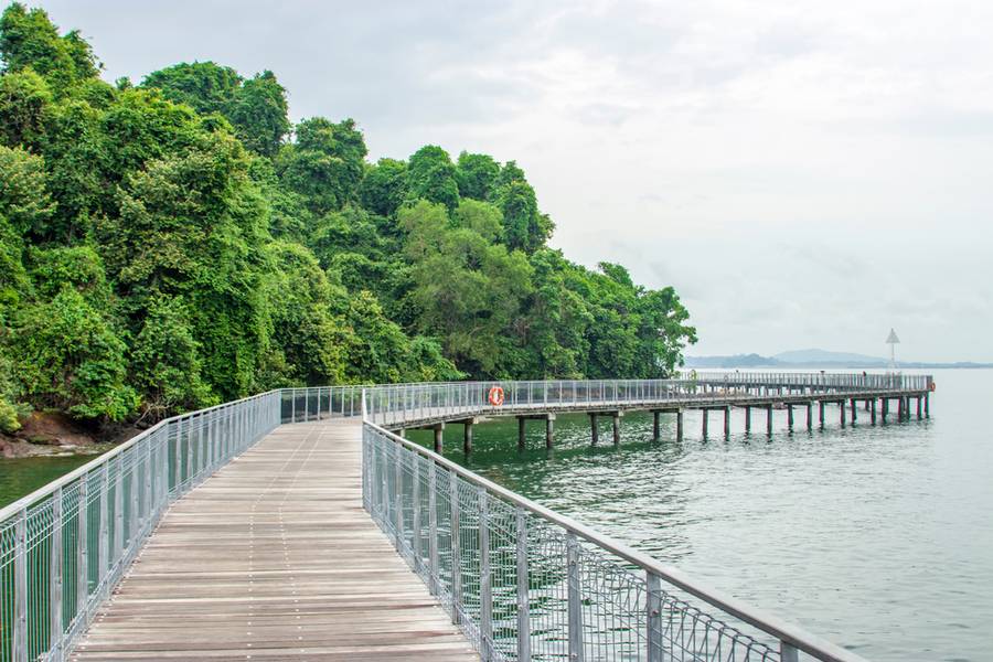 It is a cape and the name of its 100-hectare wetlands located on the south-eastern tip of Pulau Ubin island Singapore.