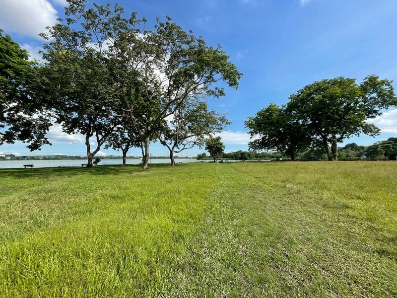 Views, flora, walkways, waterways at Kranji Reservoir Park Singapore
