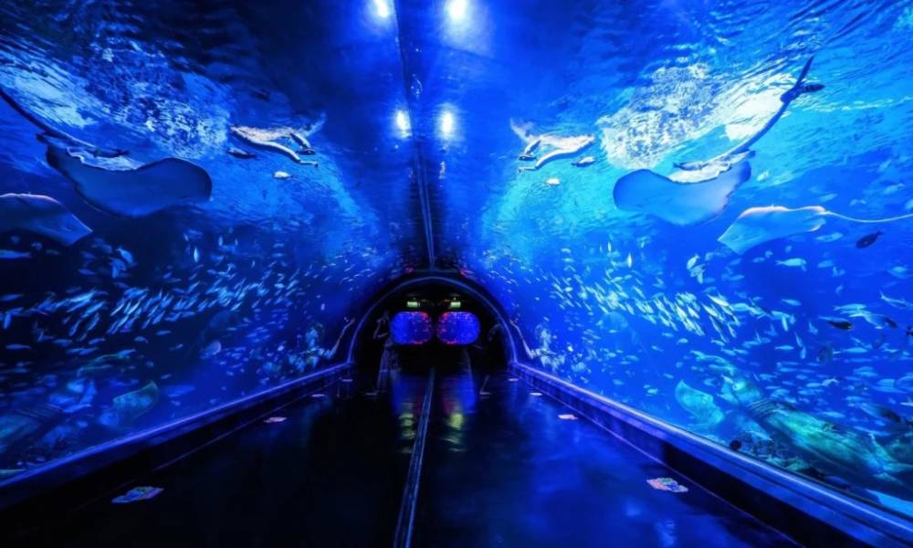 Bên trong Aquaria Phuket