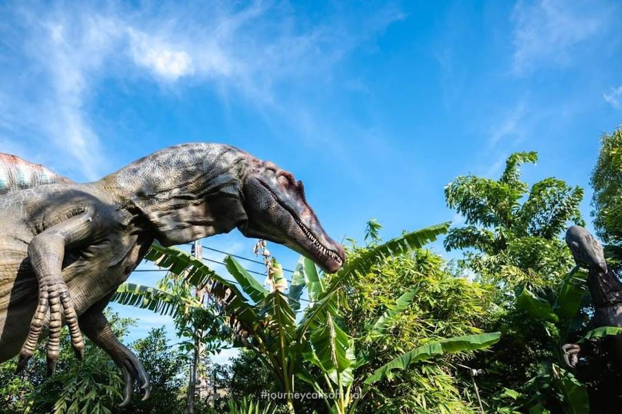 Dino Park