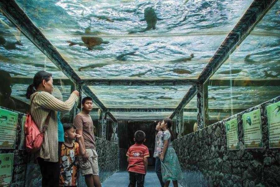 Thủy Cung Monster Aquarium