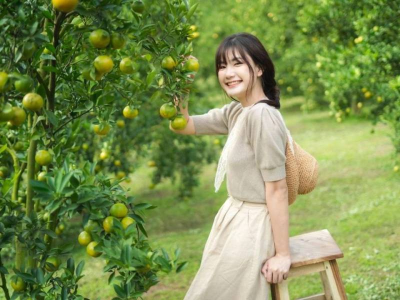 My Garden Flower Farm and Orange Orchard Chiangmai