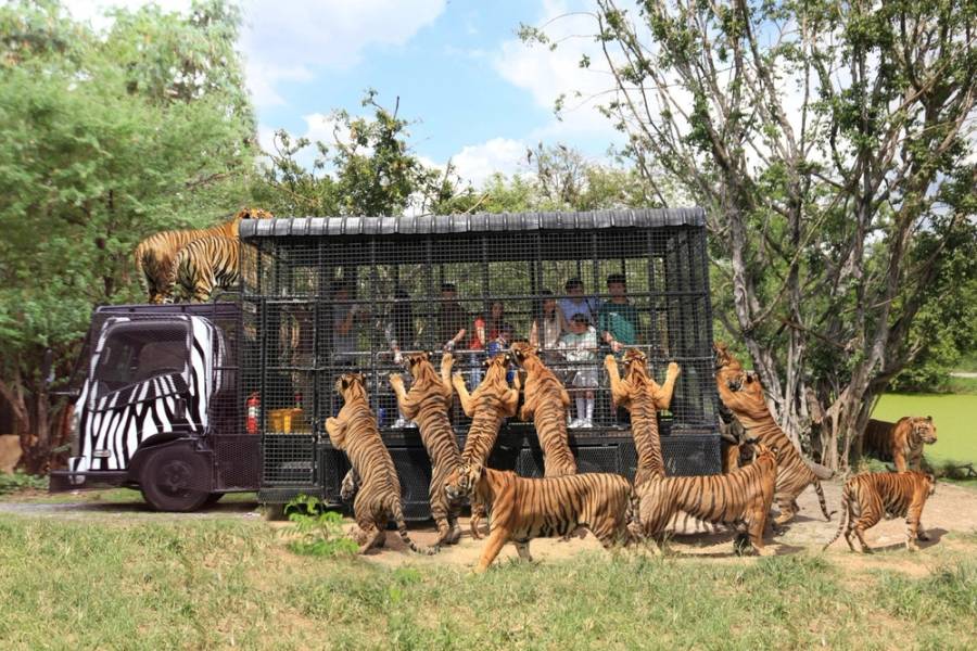 Safari World Bangkok
