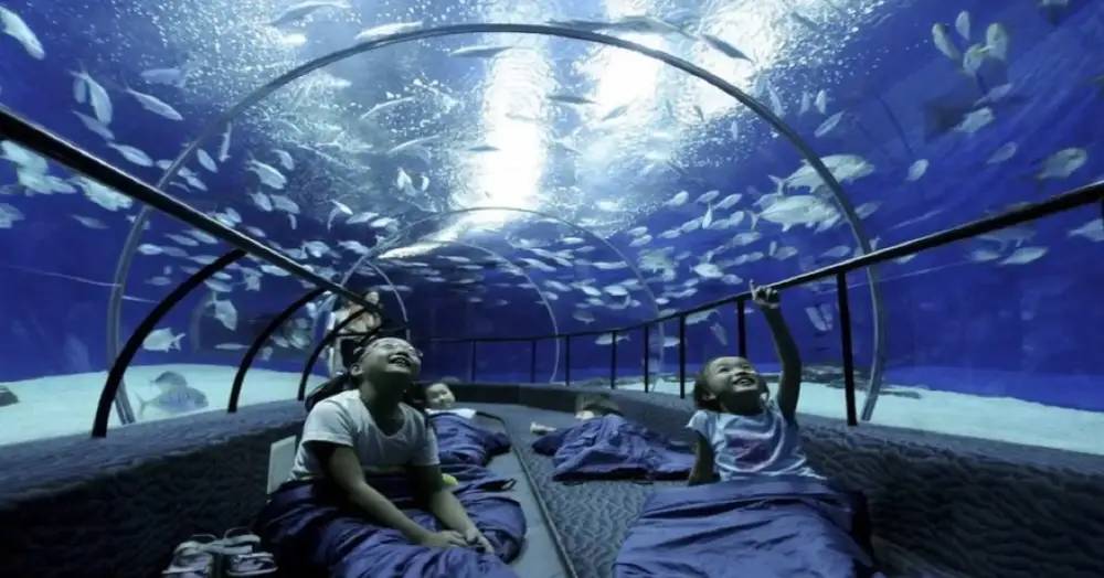 Shanghai Ocean Aquarium