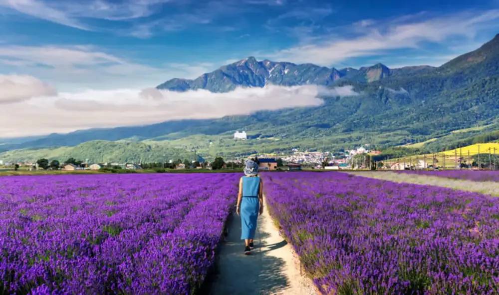 25 must-visit attractions in Japan for a fun-filled trip