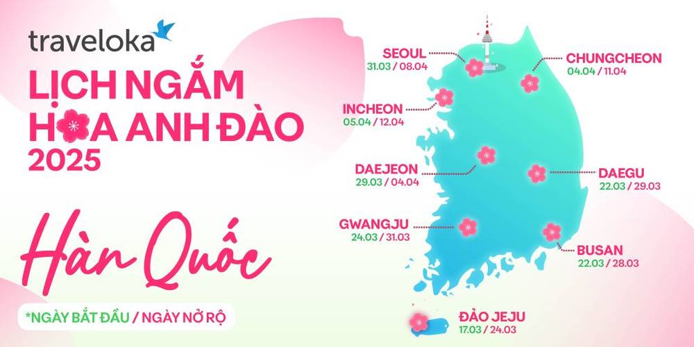 lich ngam hoa anh dao Han Quoc