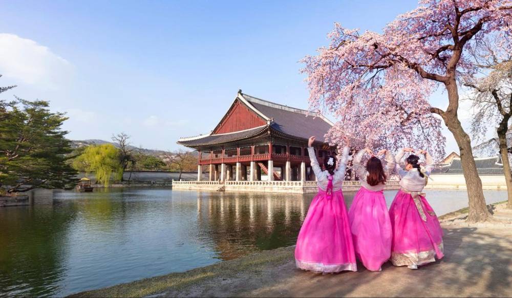 Thời điểm ngắm mùa hoa anh đào Hàn Quốc đẹp nhất là tháng 3 và tháng 4 | Mùa hoa anh đào Hàn Quốc