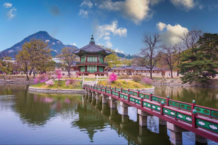 Gyeongbokgung - cung điện lộng lẫy mùa hoa anh đào nở rộ | Mùa hoa anh đào Hàn Quốc