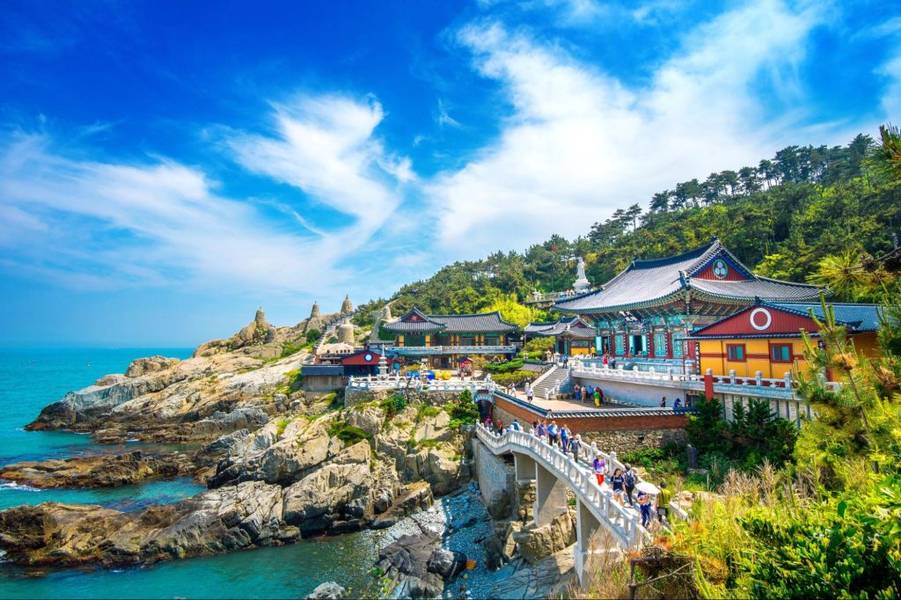 Bãi biển Haeundae với vẻ đẹp đầy bất ngờ với sắc hồng dịu dàng của hoa anh đào | Mùa hoa anh đào Hàn Quốc