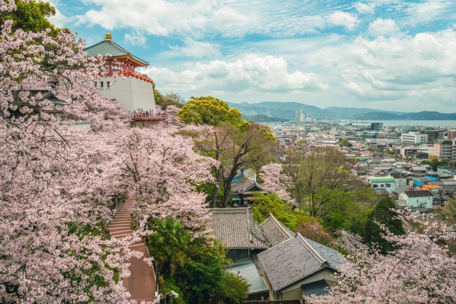Đền kimiidera và biển Wakanoura vào mùa xuân. | Mùa hoa anh đào Nhật Bản