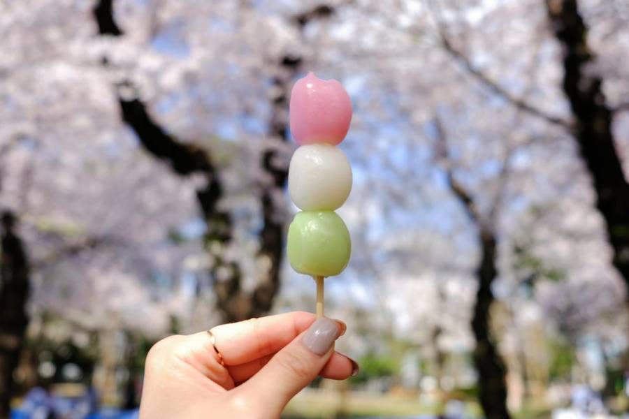 Theo truyền thống, Hanami dango thường được làm vào mùa ngắm hoa anh đào với ba màu sắc bắt mắt. | Mùa hoa anh đào Nhật Bản