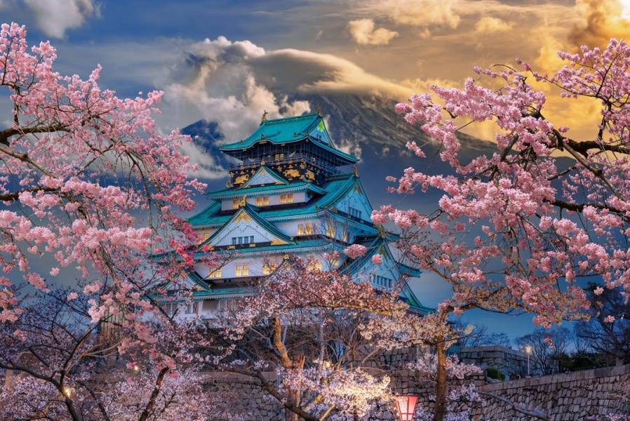Lâu đài Osaka là một trong những điểm ngắm hoa anh đào nổi tiếng nhất ở Osaka trong mùa hoa anh đào Nhật Bản | Mùa hoa anh đào Nhật Bản